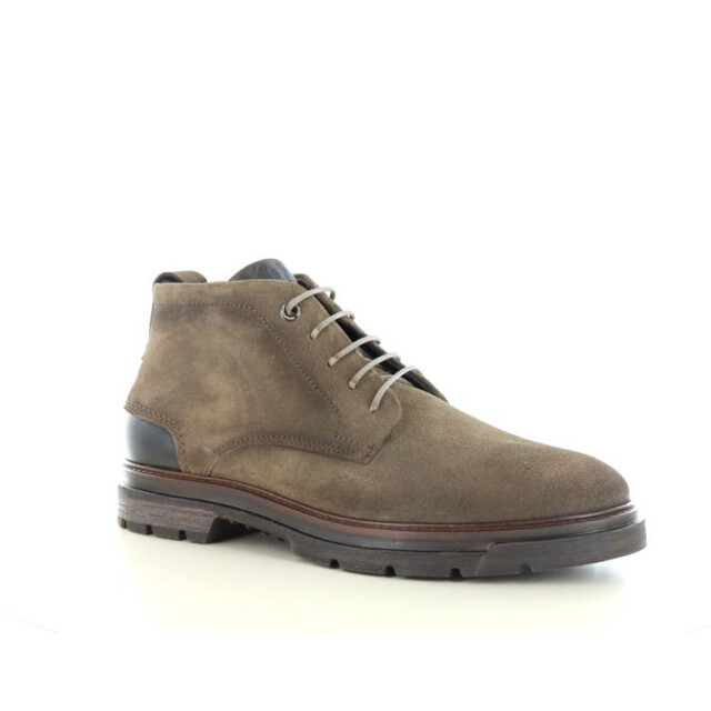 Berkelmans Levin LEVIN large