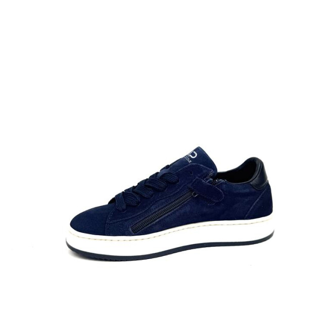 HIP H1102 H1102 large