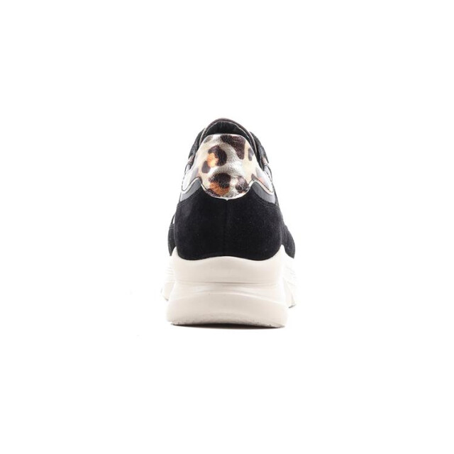 Footnotes 16.003 wijdte h 16.003 wijdte H large