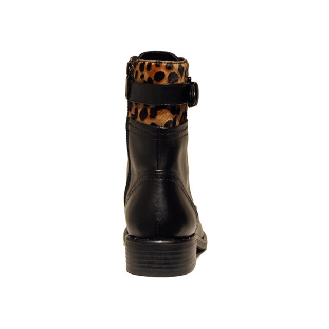 Regarde le Ciel Roxana-50 ROXANA-50 large