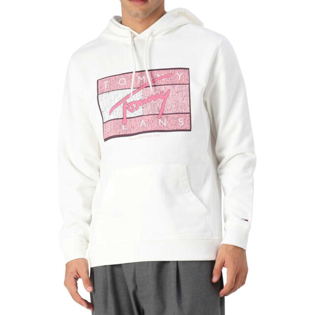 Tommy Hilfiger Heren tommy jeans groot logo hoodie UTNA883_ecru large