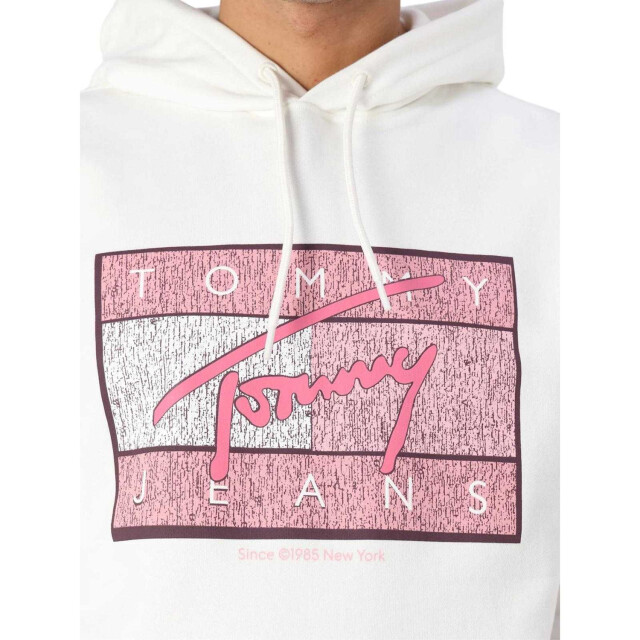 Tommy Hilfiger Heren tommy jeans groot logo hoodie UTNA883_ecru large