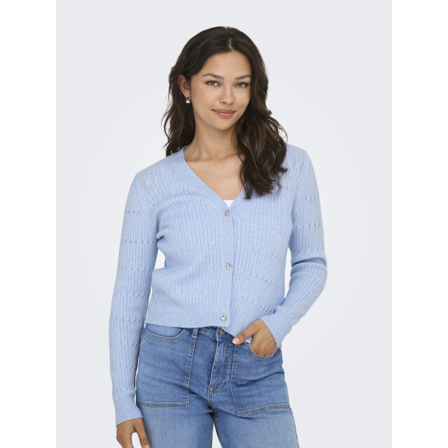 Only Onlkatia ls vneck cardi knt noos licht 4249.31.0007 large
