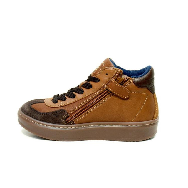 HIP H1404 H1404 large