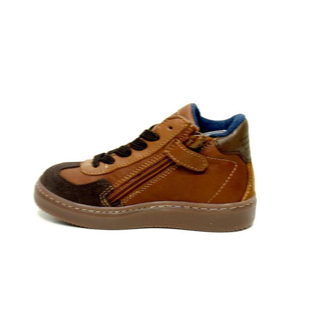 HIP P1403 P1403 large