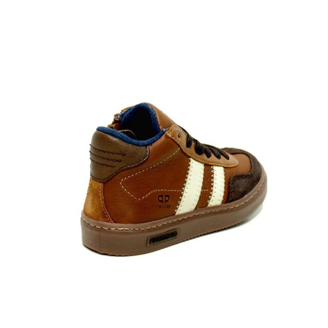 HIP P1403 P1403 large