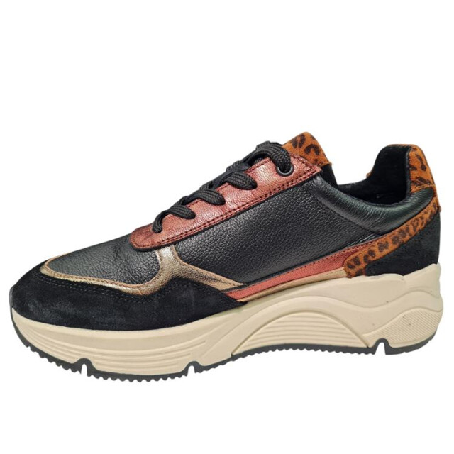 Bridge 25257694 25257694 large