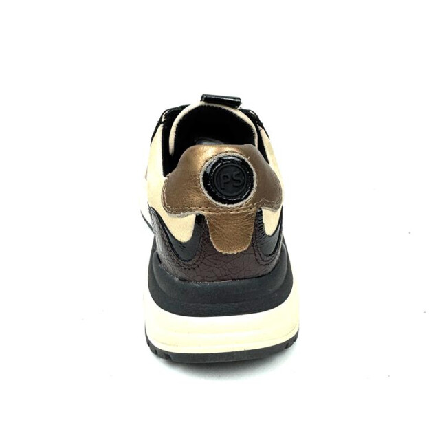 PS Poelman Lpcharu-01poe8 lpcharu-01poe8 large