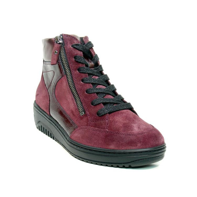 Hartjes 172.1707 wijdte k 172.1707 Wijdte K large