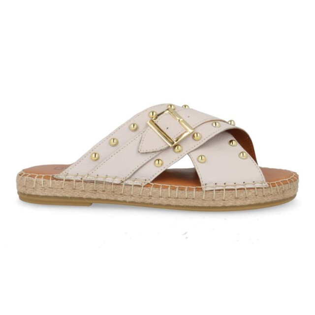 DWRS Label 211480-05 caracas 211480-05 Caracas large