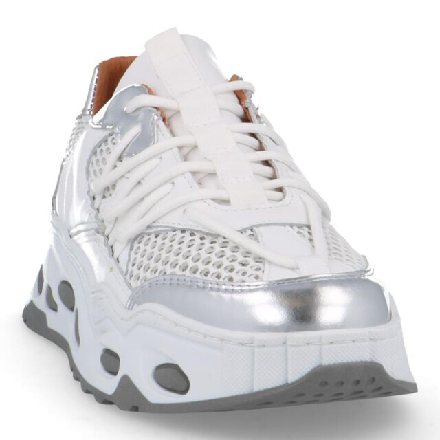 DWRS Label Titan Titan large