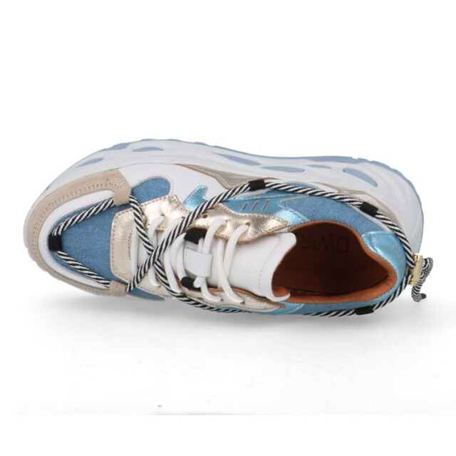 DWRS Label Saturnus Saturnus large