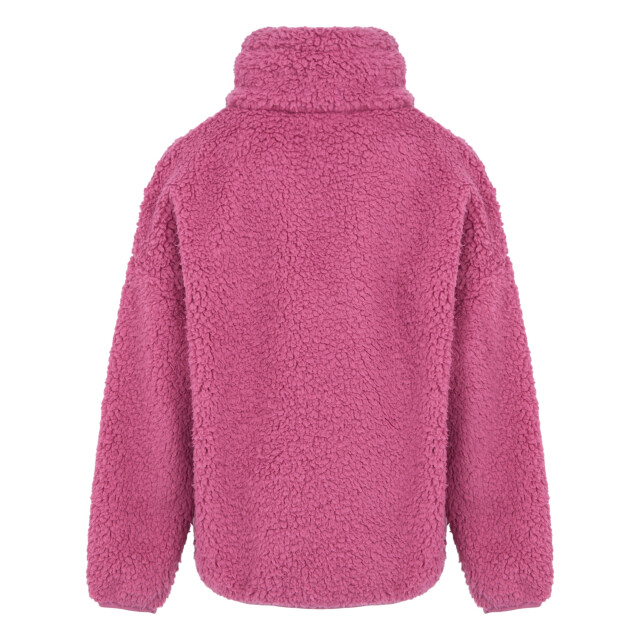 Regatta Kinder/kids kaliza half rits fleece top UTRG11046_violet large