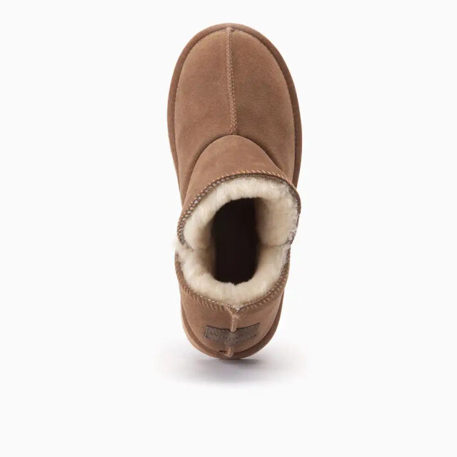 Warmbat Dames pantoffel suède willow cognac WLW321025 large