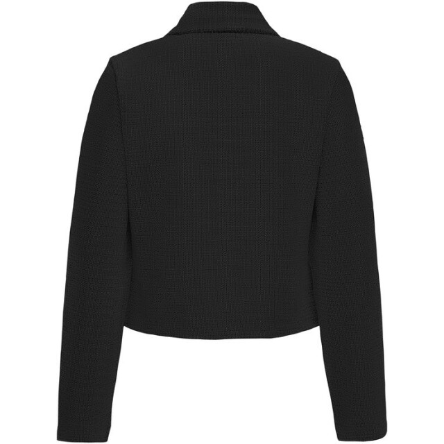 Jacqueline de Yong Jdylissy ls blazer jrs - 4549.80.0020 large