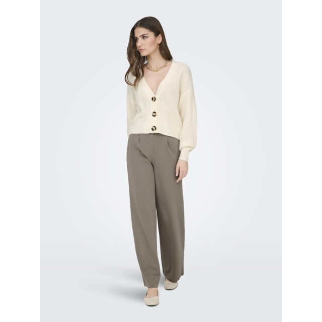 Jacqueline de Yong Jdygeggo life new long pant jrs noos taupe 4109.77.0052 large