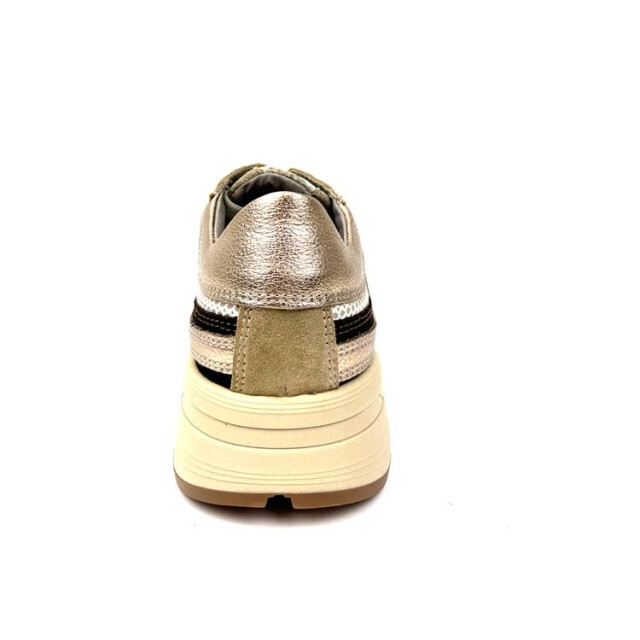 DL Sport 6738 6738 large