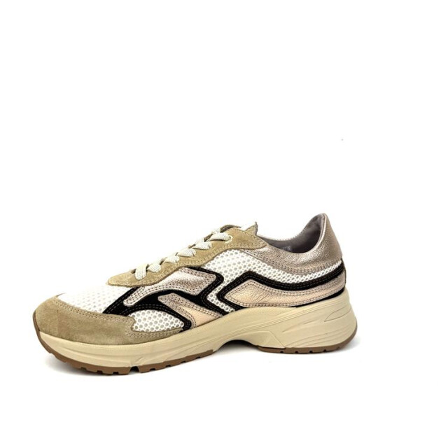 DL Sport 6738 6738 large