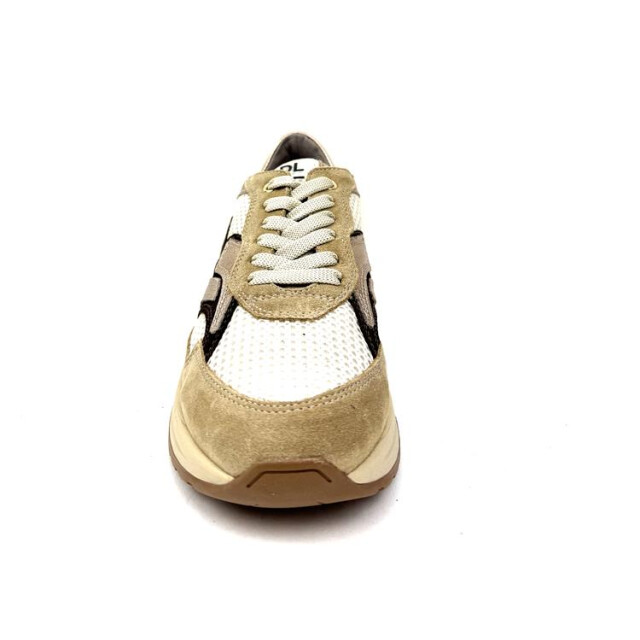 DL Sport 6738 6738 large