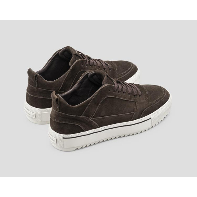 Rehab 2542.675203 2542.675203 large