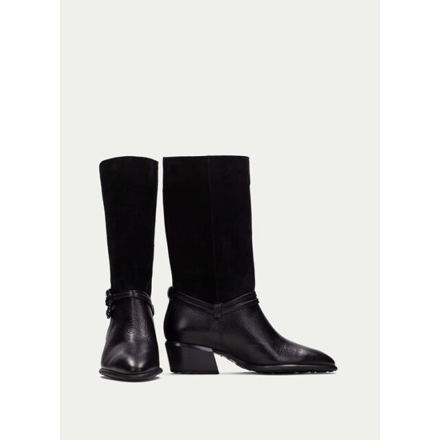 Hispanitas Phi254298 PHI254298 large