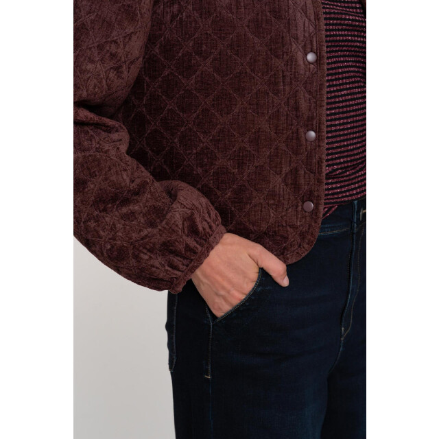 Geisha 55800-10 jacket quilted velvet 4062125028 large