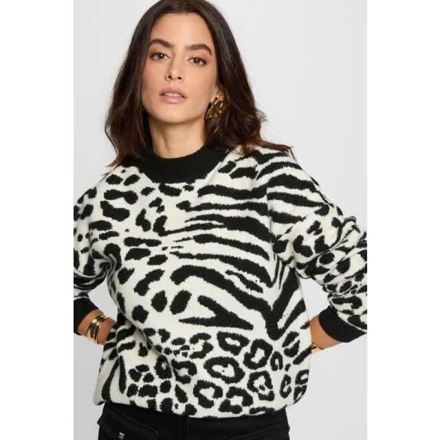 Morgan Mfelixa 4322761033 large