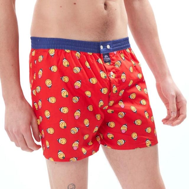 Mc Alson Kerst smileys M4688 large