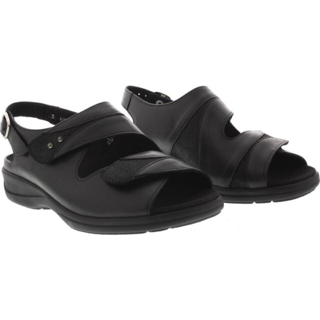 Solidus 73104 73104 Lia large