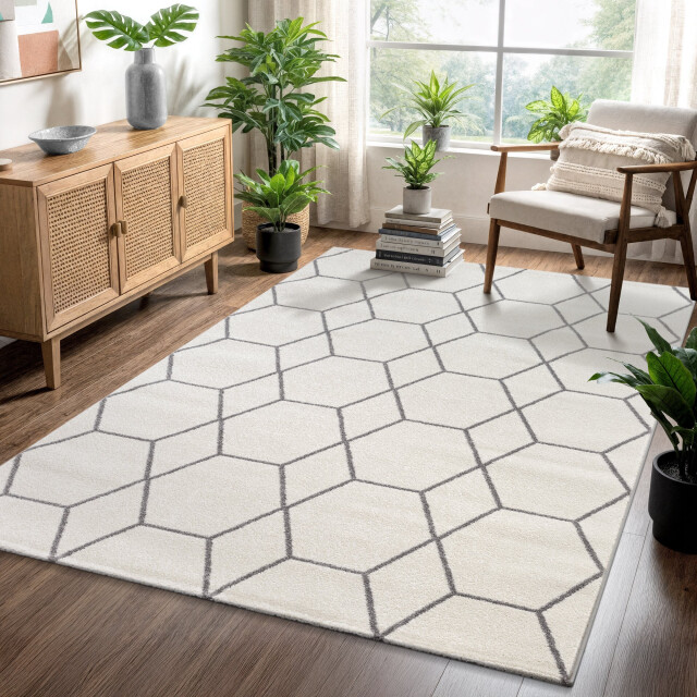 Muratap Trellis uni effen laagpolig vloerkleed modern 80x200 cm 3446830 large