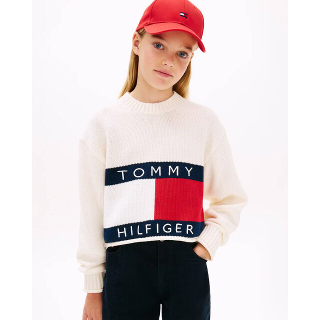 Tommy Hilfiger Pullover kg0kg08922 Tommy Hilfiger Pullover KG0KG08922 large