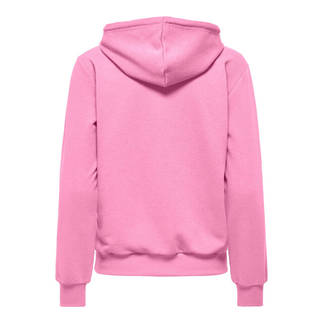 Only Play cava life hood ls loose swt training hoodie dames - 073317_705-L large
