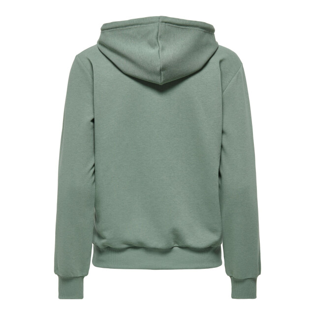 Only Play cava life hood ls loose swt training hoodie dames - 073316_305-M large