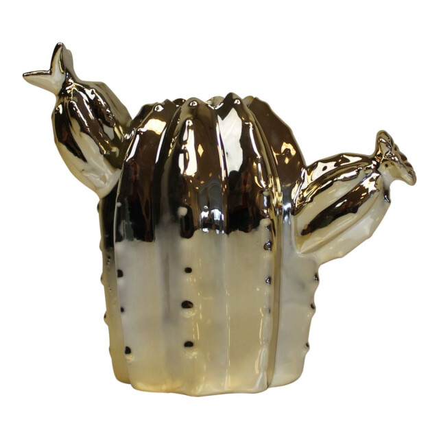 House Vitamin Set v 2 cactus vaasjes-17x15cm-keramiek-- 839765 large