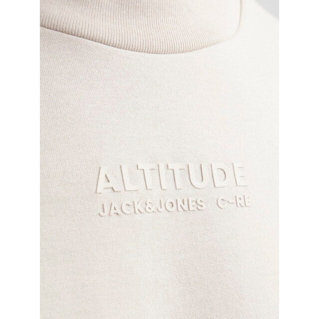 Jack & Jones Jcoaltitude tee 12254988 large