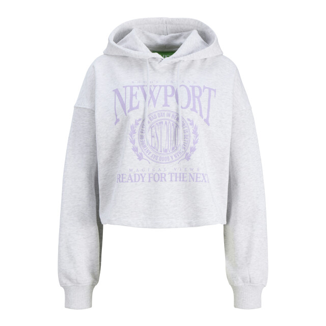 Jack & Jones Jxmerle rlx short hood swt 12289424 large