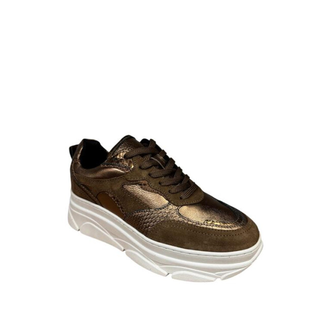 PS Poelman Lpjana-07poe4 LPJANA-07POE4 large