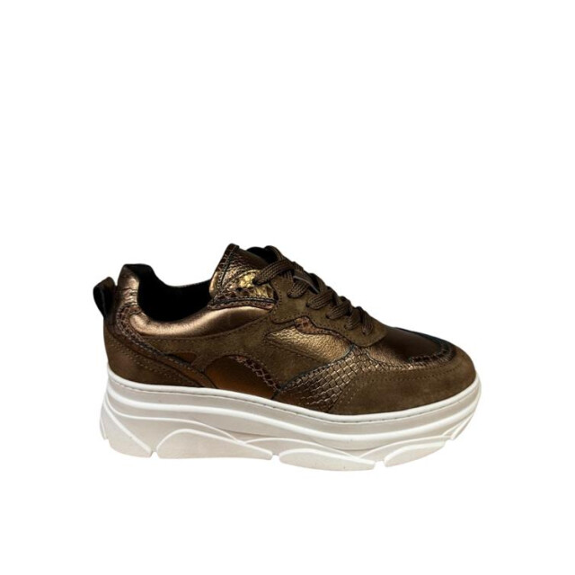 PS Poelman Lpjana-07poe4 LPJANA-07POE4 large