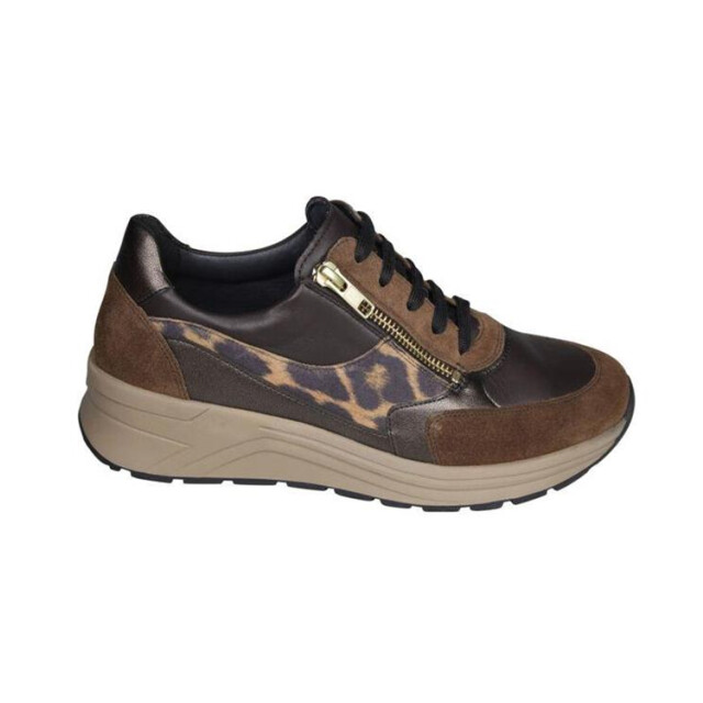 Solidus 46023 holly 023 46023 Holly large