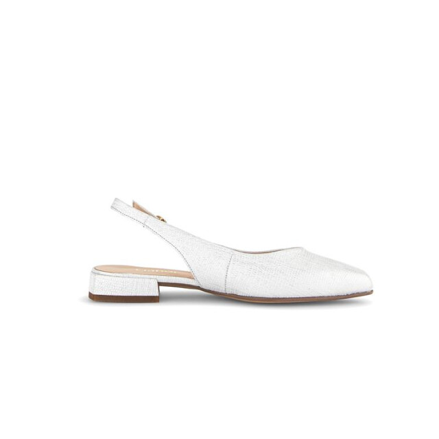 Gabor 42.240 Ballerina's Beige 42.240 large