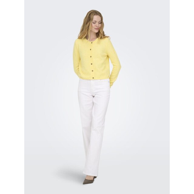 Jacqueline de Yong Jdychloe life ls cardigan knt noos - 4249.10.0002 large