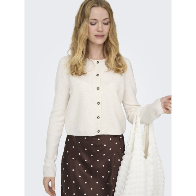 Jacqueline de Yong Jdychloe life ls cardigan knt noos beige 4249.87.0019 large