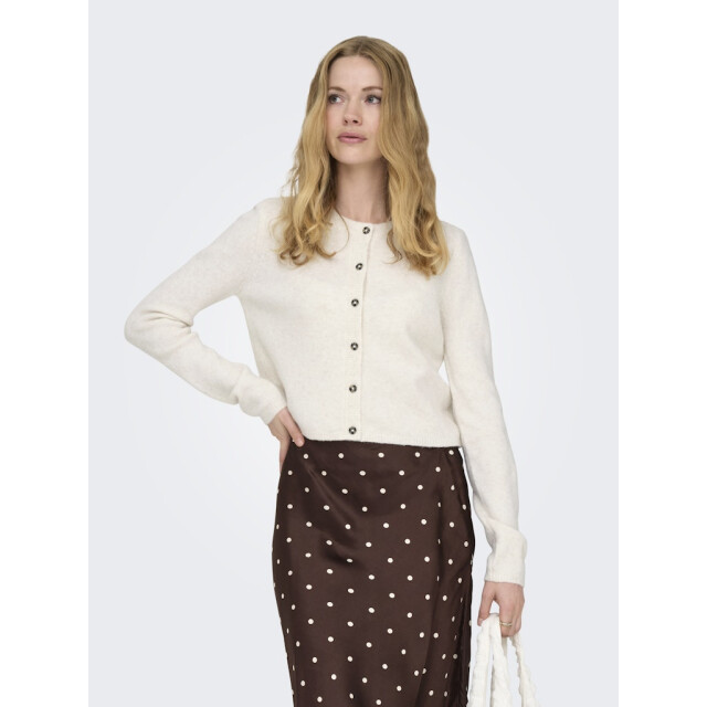 Jacqueline de Yong Jdychloe life ls cardigan knt noos beige 4249.87.0019 large
