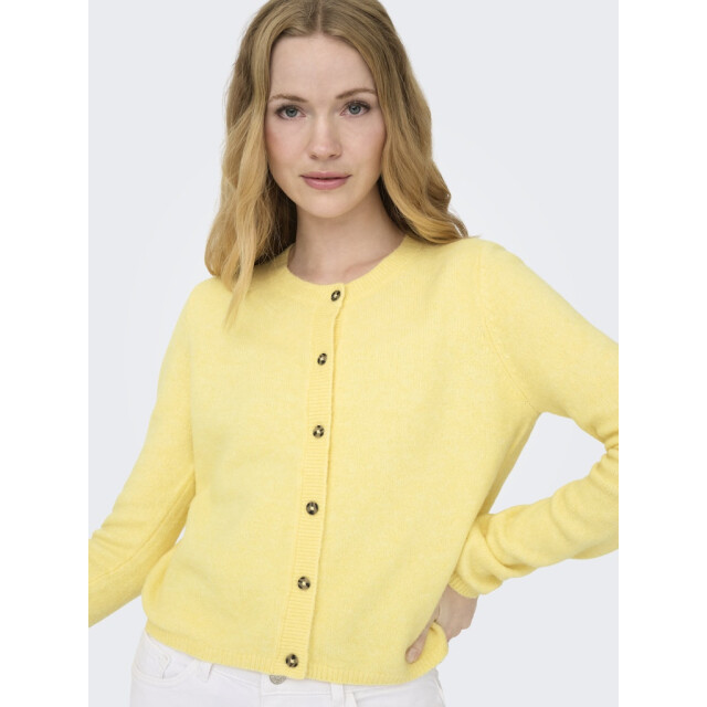 Jacqueline de Yong Jdychloe life ls cardigan knt noos - 4249.10.0002 large