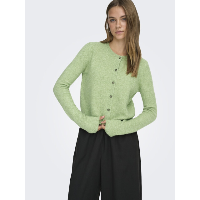 Jacqueline de Yong Jdychloe life ls cardigan knt noos melee 4249.29.0003 large