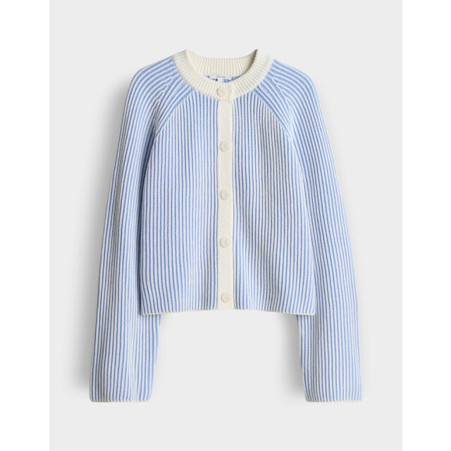 Opus Delsie 10518012877412 dessin 4249.39.0002 large