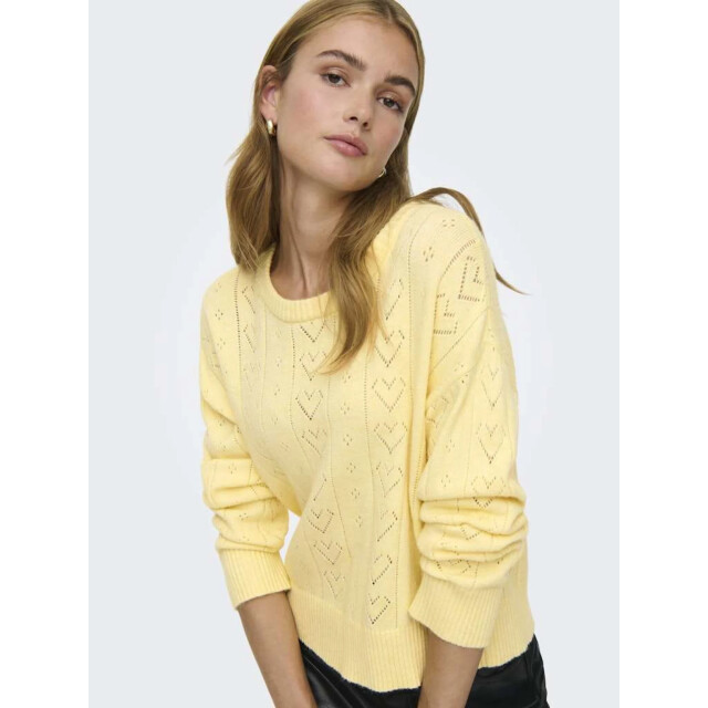 Only Onlisa life ls struct boxy oneck cc knt sunlight/m 15363149-290575002 large