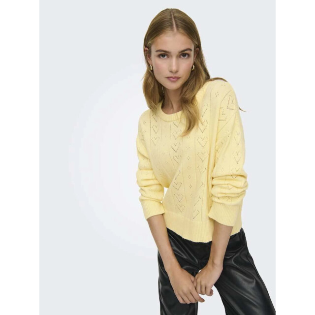 Only Onlisa life ls struct boxy oneck cc knt sunlight/m 15363149-290575002 large