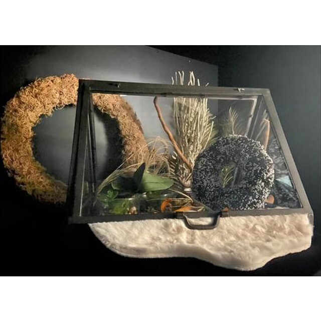 Furnilux mini kweekkas 1 greenhouse driehoek + rand 3466989 large