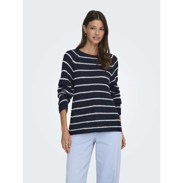 Jacqueline de Yong Jdyellen l/s oneck ragla stripe pul 15312077 large